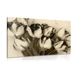 Slika spomladanski tulipani v sephia izvedbi - 30x20