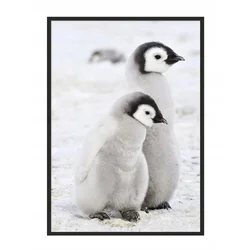 shumee PLAKAT V OKVIRJU 43x33 cm Pingvini P688