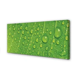 tulup.si Slika na platnu Kapljice listov makro 100x50 cm