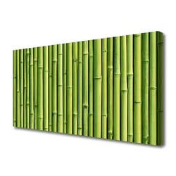 tulup.si Slika na platnu Bamboo rastlin narava 100x50 cm