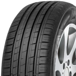 Minerva F209 ( 225/55 R16 99V XL )