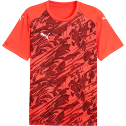 Puma Dres teamFINAL Graphic
