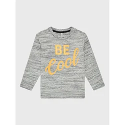 Birba Trybeyond Bluza 999 54033 00 Siva Regular Fit