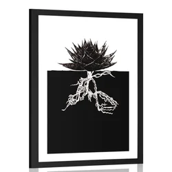 Plakat s paspartujem nesmrtnost rastline - 40x60 white