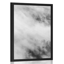 Plakat črnobeli megleni gozd - 40x60 black