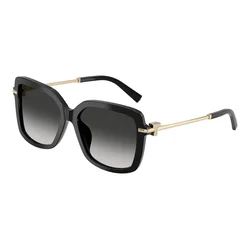 Tiffany & Co. TF4252B 80013C