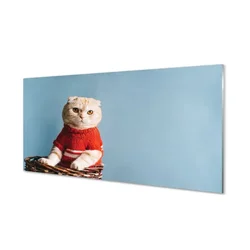 tulup.si Steklena slika Sedi mačka 120x60 cm 4 obešalnika