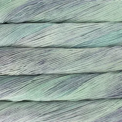 Malabrigo Arroyo Flavia Pletilna preja