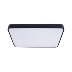 LED stropno svetlo FELIZ LED/40W/230V 4000K 40x40 cm crna