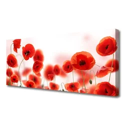 tulup.si Slika na platnu Rastlinskih mak naravi 120x60 cm