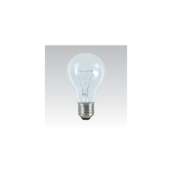Industrijska specijalna sijalica E27/100W/24V