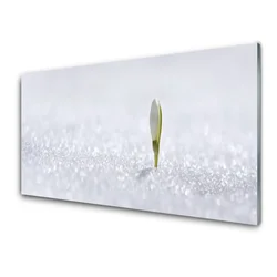 tulup.si Slika na steklu Snowdrop sneg winter 125x50 cm 4 obešalnika