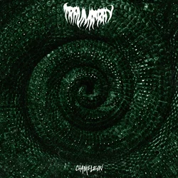 Trauma Ray - Chameleon (Limited Edition) (Mint Green Coloured) (LP)