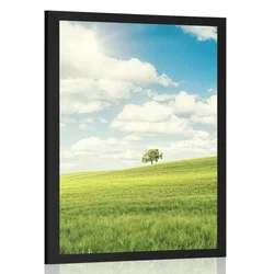 Plakat čudoviti sončni dan na travniku - 60x90 no frame