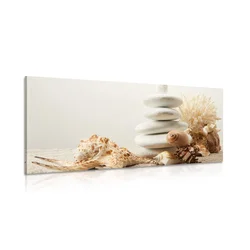 Slika Zen kamni s školjkami - 120x60