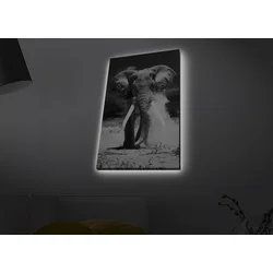 Opviq Slika na platnu sa LED osvetljenjem 45x70cm