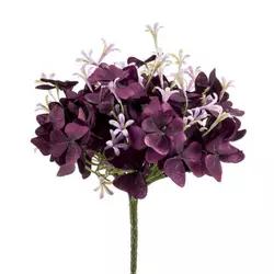 Zajčja deteljica grm 24cm vijolična/roza