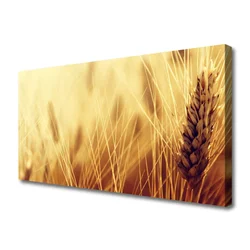 tulup.si Slika na platnu Pšenica rastlin narava 140x70 cm