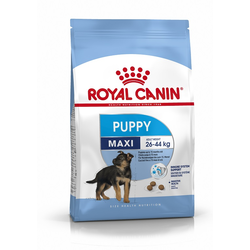 Royal Canin Maxi Junior - suha hrana za velike pse 13 kg + 2 kg poklon