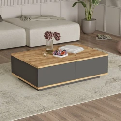 Hanah Home Klub sto FR14-AA, 90x28.6x60 cm, Antracit