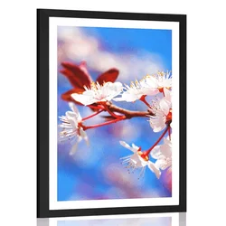 Plakat s paspartujem češnjev cvet - 30x45 no frame