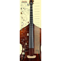 POSTER KONTRABASS GRIFFTABELLE