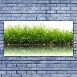 tulup.si Slika na platnu Grass nature rastlin 140x70 cm