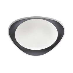 Redo 05-922 - LED plafonsko svetlo VERENA LED/24W/230V antracit