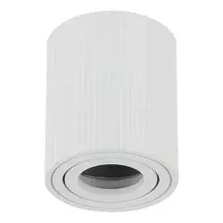 Plafonska lampa AFS118-1C WH