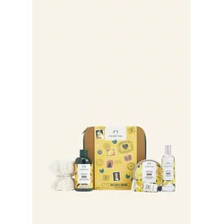 Sweetness & Sunshine Mango Big Gift XM22