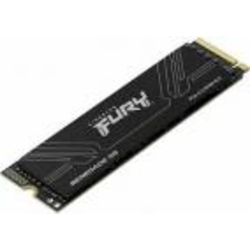 1TB SSD Kingston FURY Renegade G5 SFYR2S/1T0