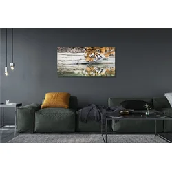 tulup.si Slika na platnu Tiger drink 140x70 cm