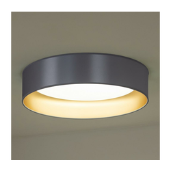 Duolla - LED plafonjera ROLLER LED/24W/230V prečnik 45 cm srebrna/zlatna