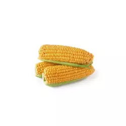 KORUZNI ŠROT 10 KG