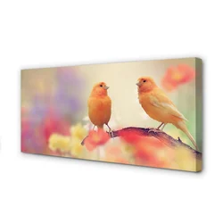 tulup.si Slika na platnu Pisana papiga 120x60 cm