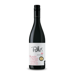 ptujska-klet Vino Modri pinot Pullus Ptujska Klet 0,75 l