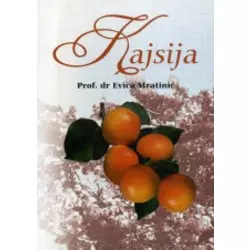 Kajsija