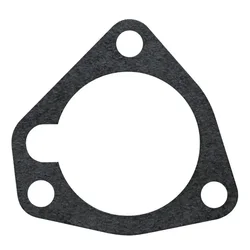 Granit Tesnilo protipogona za MASSEY MF 3641884M1