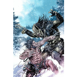 Predator vs. Wolverine