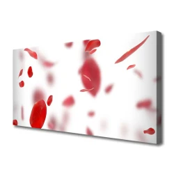 tulup.si Slika na platnu Vrtnice narava 120x60 cm