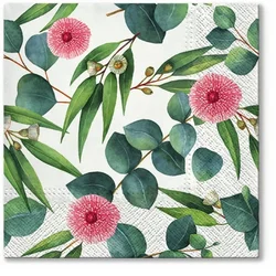 Serviete za decoupage Leaves of Eucalyptus - 1 kos (Serviete)