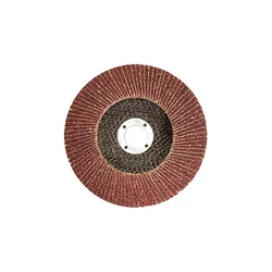 Brusni disk lamelasti 125 mm P 40 740429