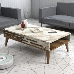 Hanah Home Klub sto Valensiya 105x60x34,6cm Šareni
