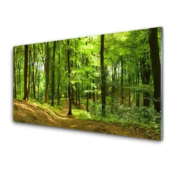 tulup.si Steklena slika Forest narava pot 120x60 cm 4 obešalnika