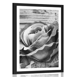 Plakat s paspartujem elegantna vintage vrtnica v črnobeli varianti - 20x30 no frame
