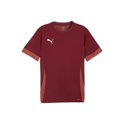 Puma Dres teamGOAL Matchday Jersey