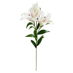 Shishi Lilija bela, 86 cm
