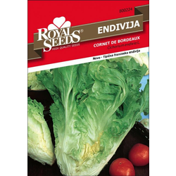 SEME ROYAL SEEDS 224 Endivija Cornet de Bordeaux