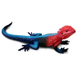Safari Agama mwanza