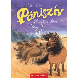 Póniszív - Vadló a viharban